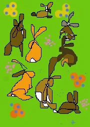 bunnydoodles